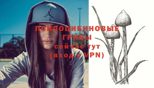 COCAINE Михайлов