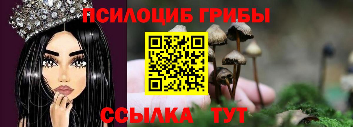 Псилоцибиновые грибы Cubensis Александров