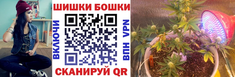 Бошки Шишки марихуана  купить наркоту  Александров 