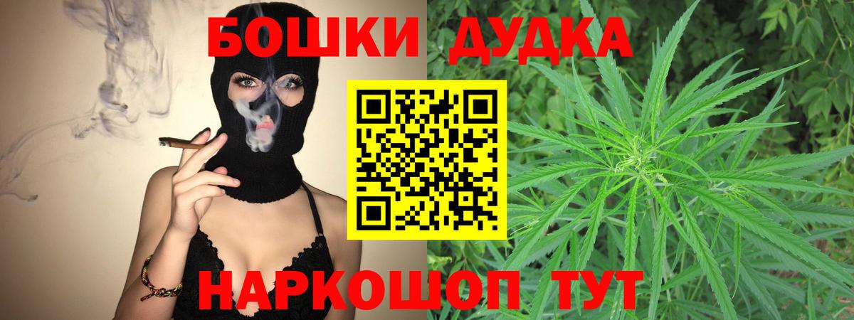 Конопля сатива Александров