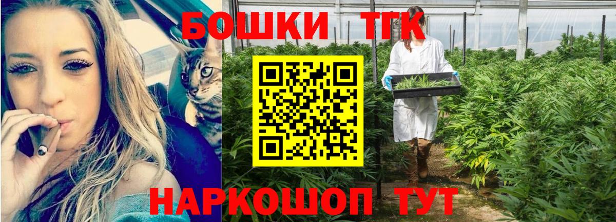 ГАШ Александров